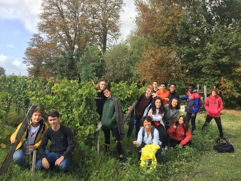 L’alchimie des vignes et d’une classe!