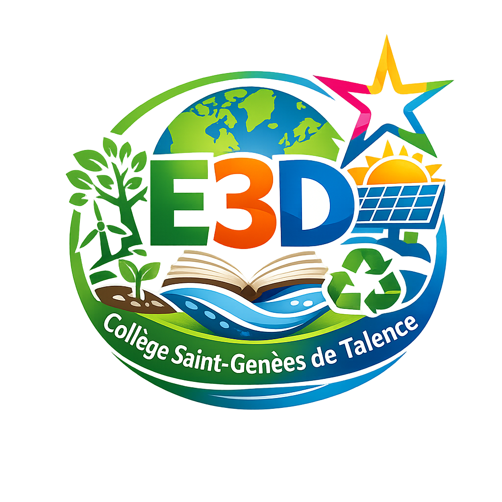 ChatGPT Image 14 févr. 2026, 19_55_08