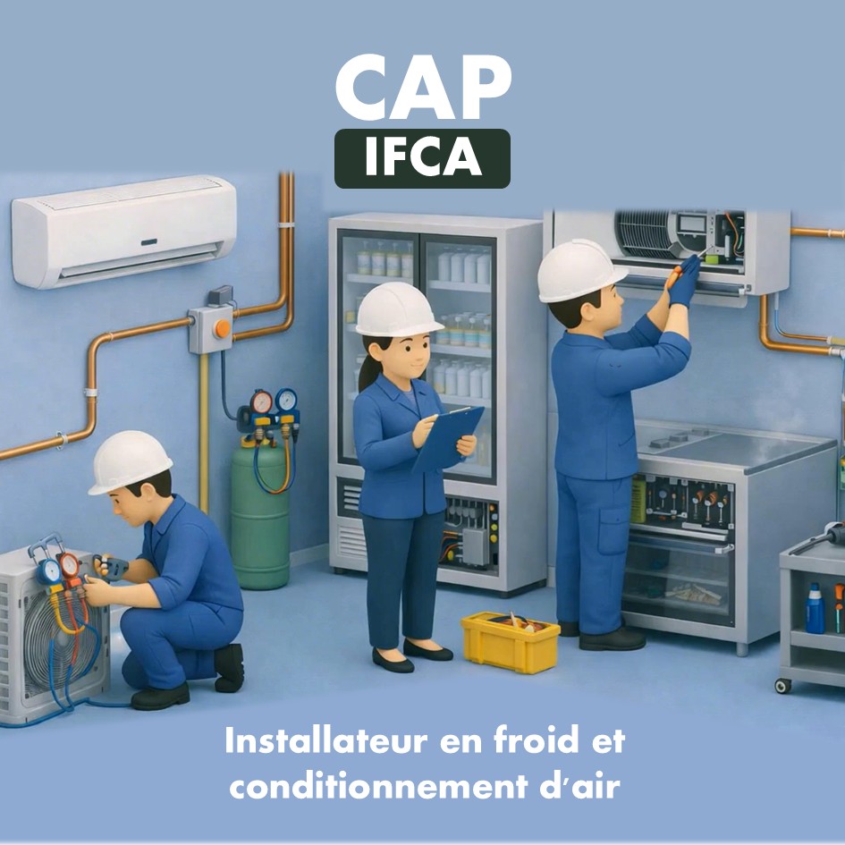 cap-ifca-bordeaux-3D Design Formation CAP IFCA Lycée Professionnel Saint-Genès Bordeaux